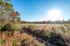 Buckner Clark Road photo